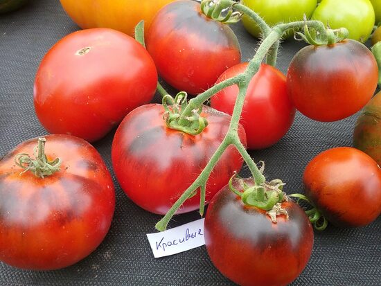 Красивые мечты